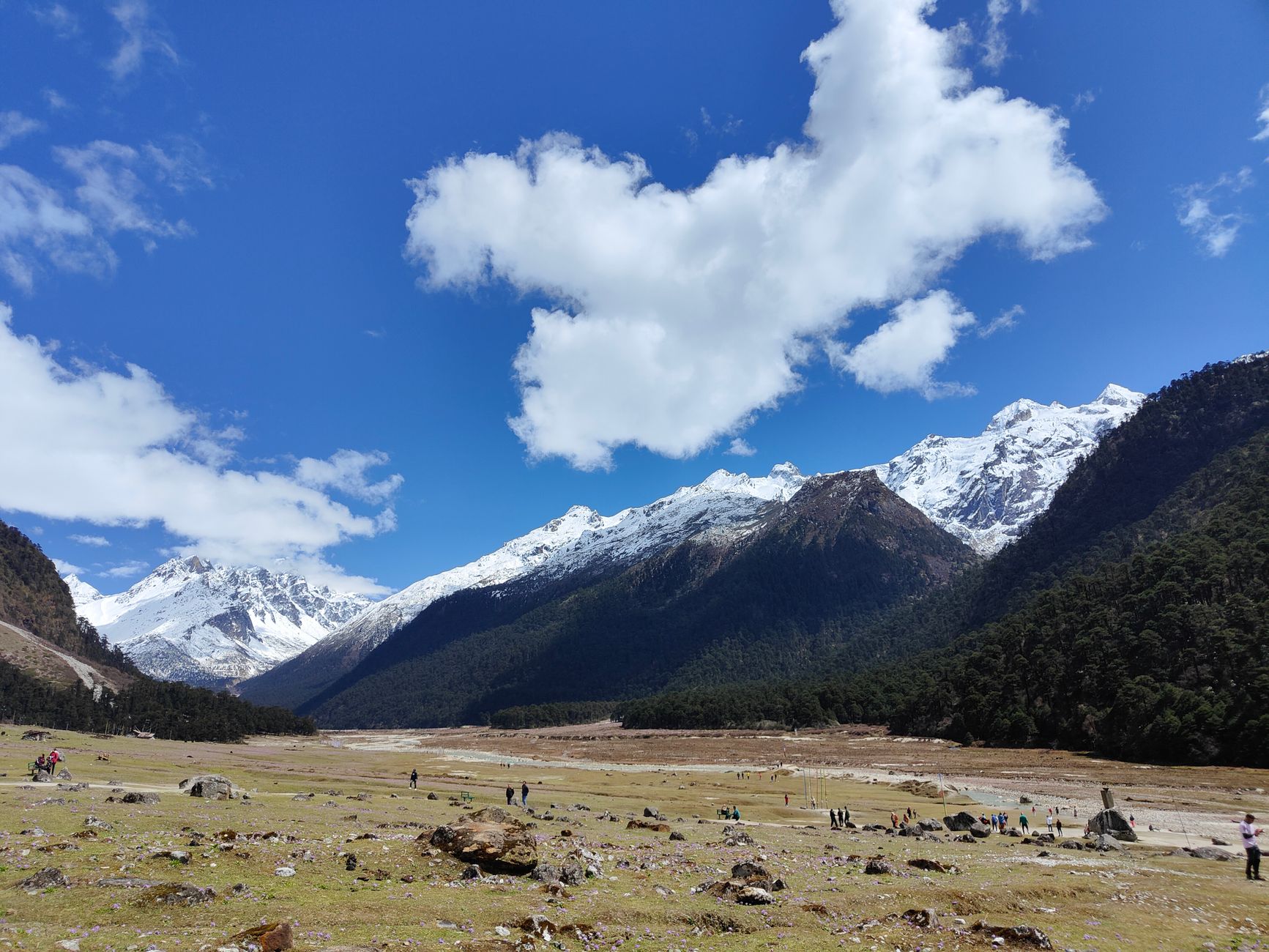 Sikkim