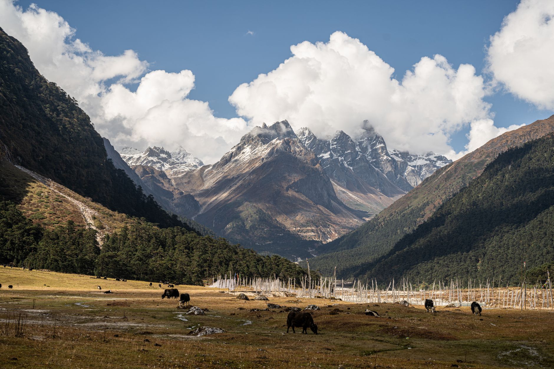 North Sikkim Travel Guide: Lachen, Lachung and Yumthang Valley
