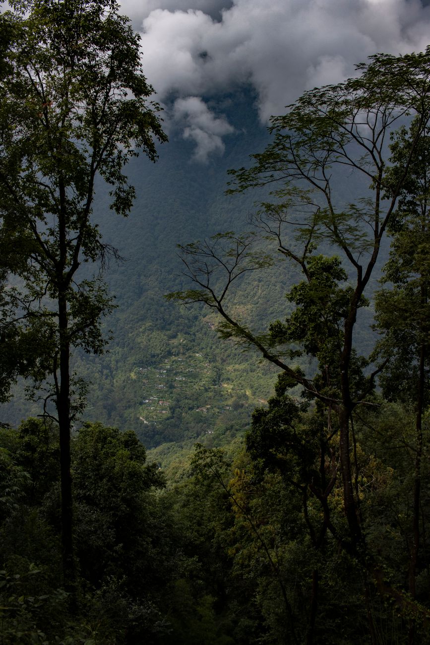 Where to Stay in Pelling