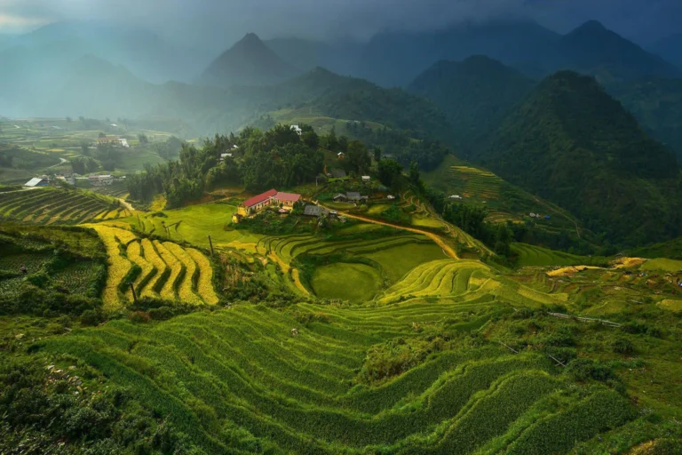Pelling
